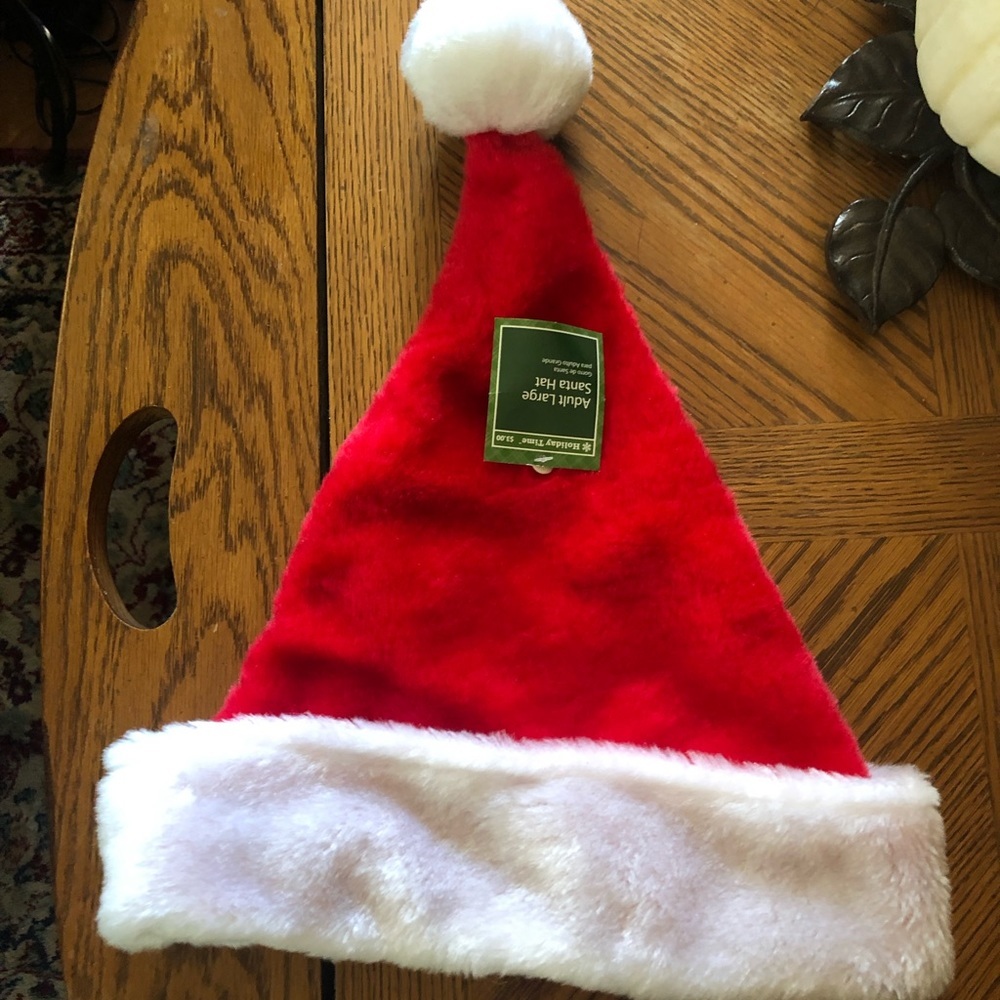 Santa Hat Adult LARGE
